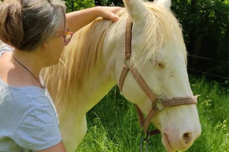 valerie-gentilhomme-shiatsu-equin-7